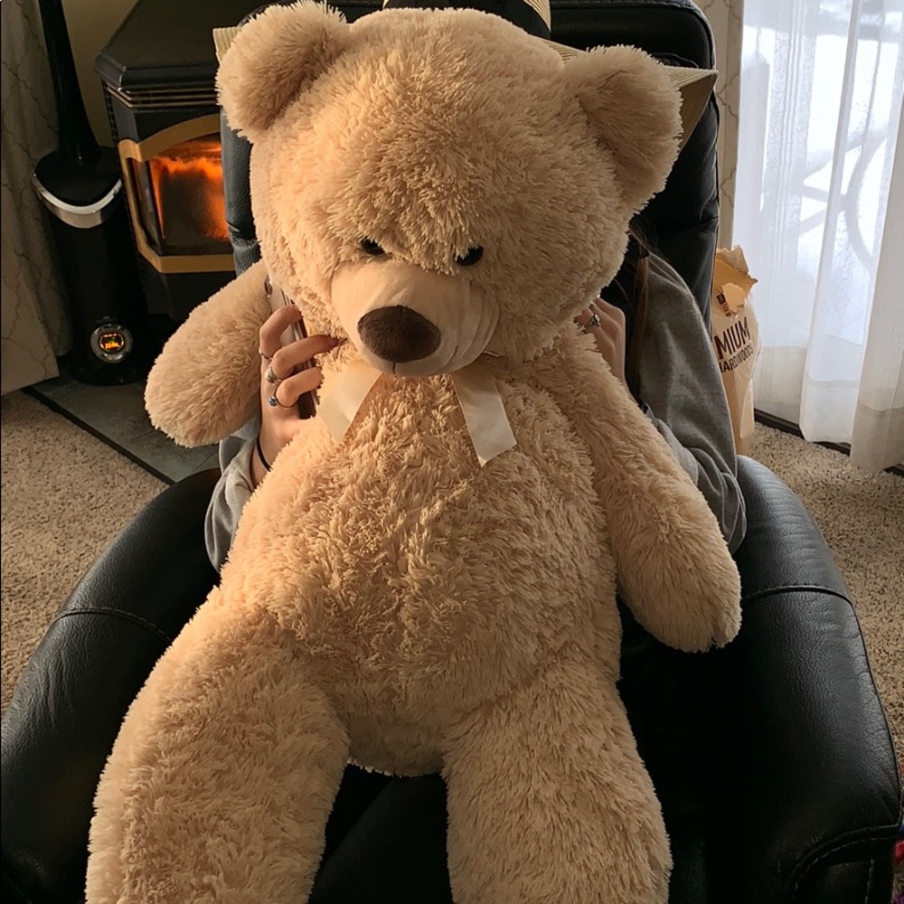 Big teddy bear